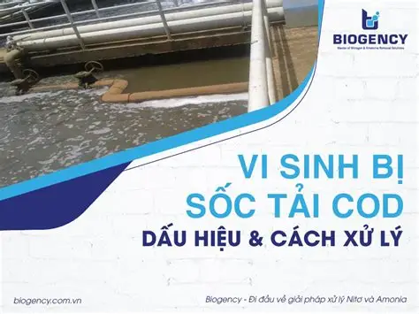 Nước Thải Đầu Vào Thay Đổi Đột Ngột Làm Vi Sinh Bị Sốc Tải: Quy Trình Điều Chỉnh Lưu Lượng Và Châm Dinh Dưỡng Cấp Cứu Trong 24h?