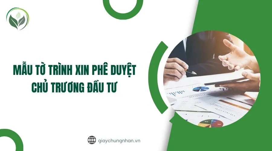 Dự Án Mới Bắt Đầu Xin Chủ Trương Đầu Tư Cần Làm Hồ Sơ Môi Trường Ở Bước Nào?